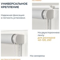 Рулонные шторы Franc Gardiner Print Сосна 55x160 9403218138 (белый)