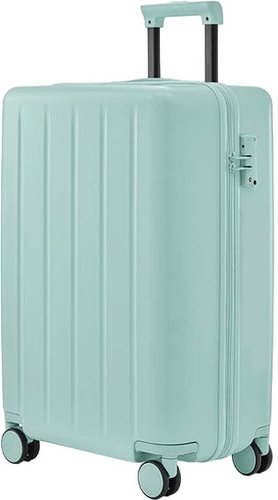 Ninetygo Danube MAX Luggage 20" (мятно-зеленый)