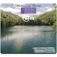 Напольные весы Beon BN-1107