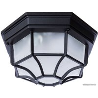 Уличный накладной светильник Arte Lamp Pegasus Piatto A3100PL-1BK