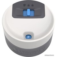 Термокружка Kambukka Etna Peacock 0.3л