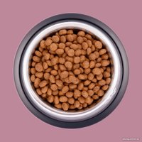 Сухой корм для кошек Unica Classe Lovely Care Condition Adult Sterilized Luxury Hairball Lamb (для здоровья шерсти с ягненком) 300 г