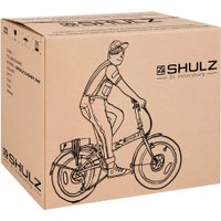 Электровелосипед Shulz E-Easy Fat (оранжевый)