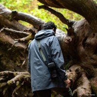 Плечевой ремень Peak Design Camera Strap Slide Lite V3.0 (зеленый)