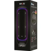 Патибокс Ginzzu GM-206