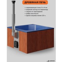 Купель Scandinaf Thermal 200RB в Витебске