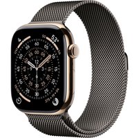Умные часы Apple Watch Series 11 LTE 46 мм (титановый корпус, золотистый/сланец, миланская петля)