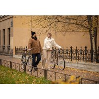 Велосипед Shulz Roadkiller Lady Disk S 2023 (кофейный)