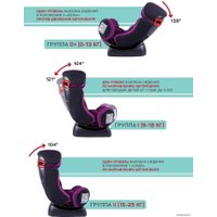 Детское автокресло Amarobaby Professional (фиолетовый)
