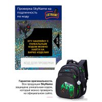Школьный рюкзак SkyName R3-278 + брелок мячик