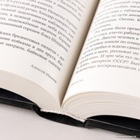 Книга издательства Альпина Диджитал. Ненастье (Иванов А.В.)