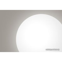 Светильник-тарелка Xiaomi Mi Smart LED Ceiling Light