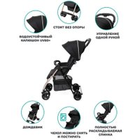 Коляска прогулочная «книга» Chicco Ohlala 3 (черный/золотая рама)