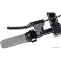 Электросамокат Polaris PES1010