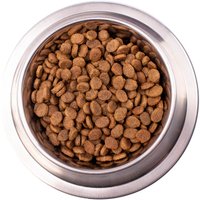 Сухой корм для собак Monge Vet Solution Dermatosis 12 кг
