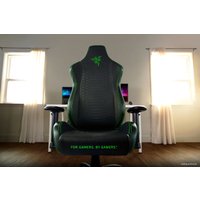Игровое (геймерское) кресло Razer Iskur X (черный/зеленый)
