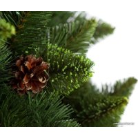 Сосна GreenTerra Хрустальная, зеленая 1 м