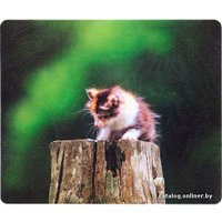 Коврик для мыши Defender Silk (50706)