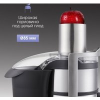 Соковыжималка Zigmund & Shtain EJ-755 в Витебске