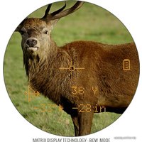 Бинокль Bushnell FUSION 1 MILE ARC 10*42 (202310)