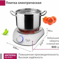 Настольная плита Мастерица ES-0101 (белый) в Витебске
