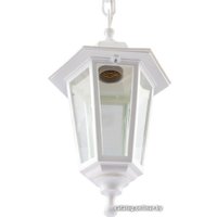 Уличный подвесной светильник ЭРА НСУ 06-60-001 Б0048110