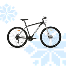 Велосипеды AIST