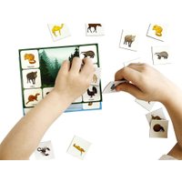 Развивающая игра Десятое королевство Кто где живет? 00078