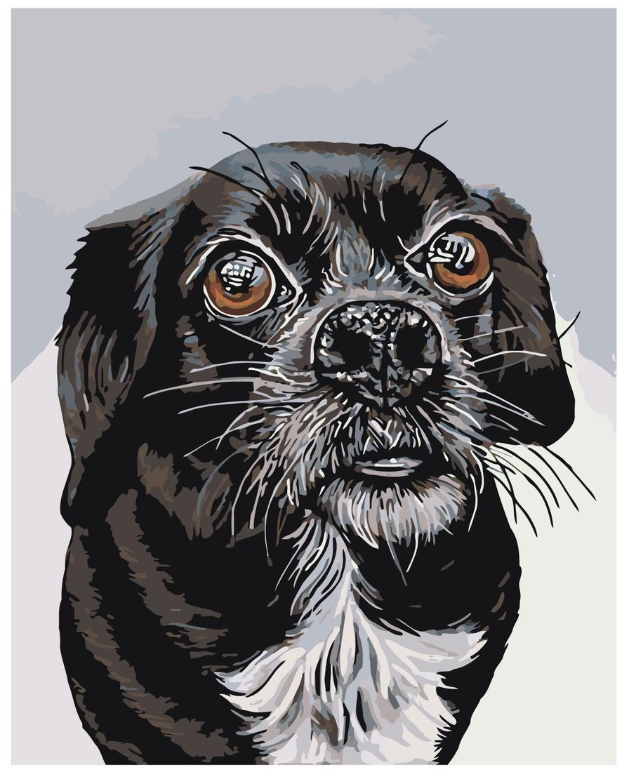 

Картина по номерам SLAVINA Преданный взгляд A107