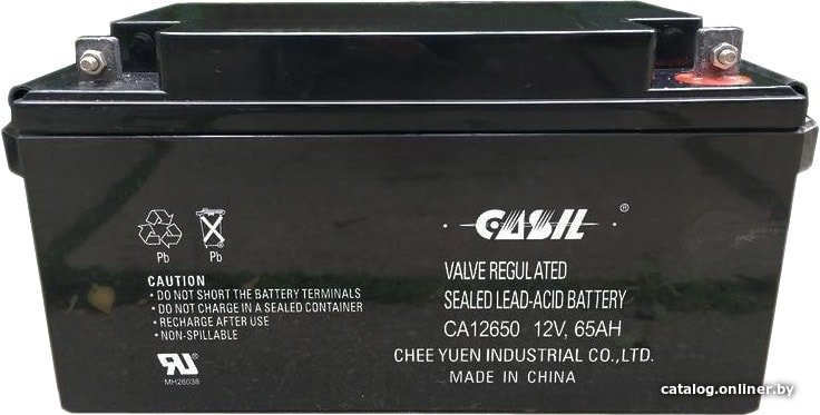 Аккумулятор для ИБП Casil CA12650 (12В/65 А·ч)