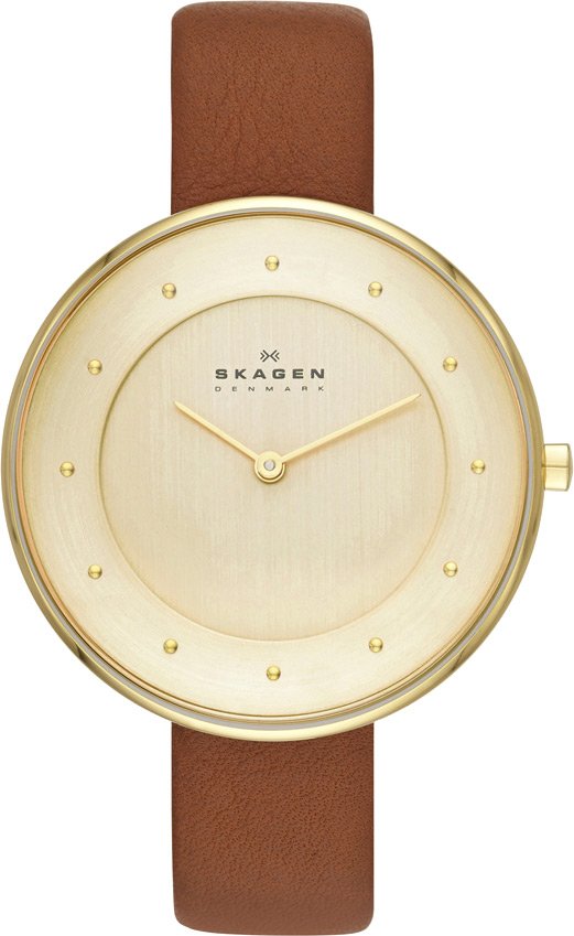 

Наручные часы Skagen SKW2138