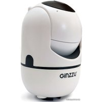 IP-камера Ginzzu HWD-2302A