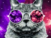 Кошачий космос КХ_44089
