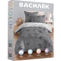 1.5-спальный комплект постельного белья Василек Тинейджер 24 500345/1
