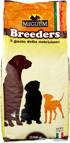 dogadultgold20
