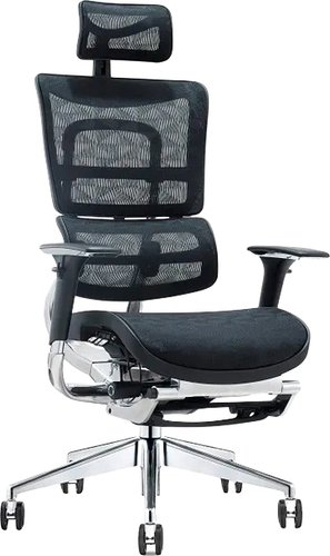 Офисное кресло Directoria Эрго (черный)