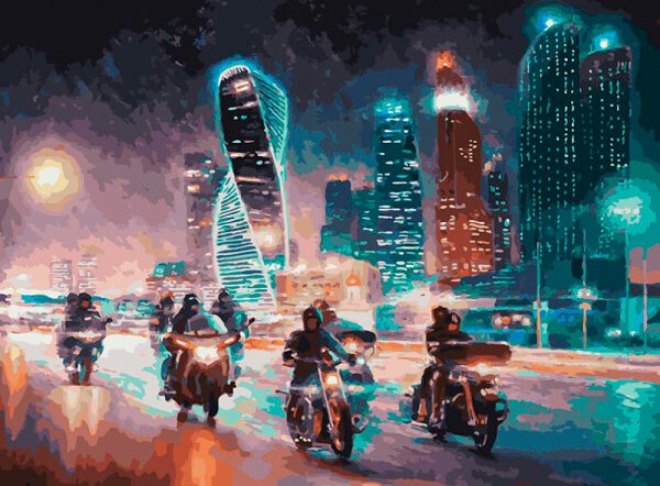 

Картина по номерам Белоснежка Жгут пространство железные птицы 309-AB