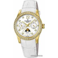 Наручные часы Candino C4685/1