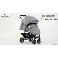Коляска прогулочная «книга» Lorelli Daisy Basic (серый)