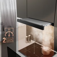 Кухонная вытяжка Weissgauff TEL 06 2M BL