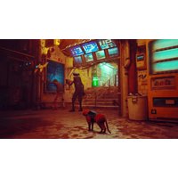  Stray для Nintendo Switch