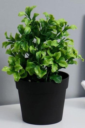 Искусственное растение Хорошие сувениры Крупнолист 19см 5664388