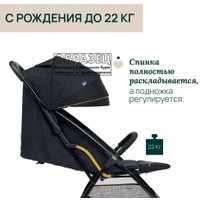 Коляска прогулочная «книга» Chicco Glee (Joyful Teal)
