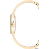 Наручные часы с украшением Anne Klein 3620PLST