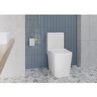 Унитаз напольный Lauter W09 S-TRAP с жестким сиденьем и микролифтом 21900004 (вертикальный выпуск)