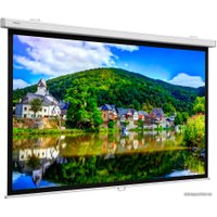 Проекционный экран Projecta Proscreen CSR 154x240 10200315