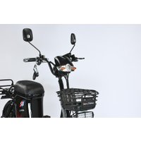 Электровелосипед Smart Balance Master Pro 50 Ah 2025 в Бресте