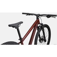 Велосипед Specialized Rockhopper Expert 27.5 M 2023 (Gloss Rusted Red/Satin Rusted Red)