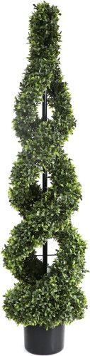 Merry Bear Home Decor Самшит спиралевидный в горшке AQ10115