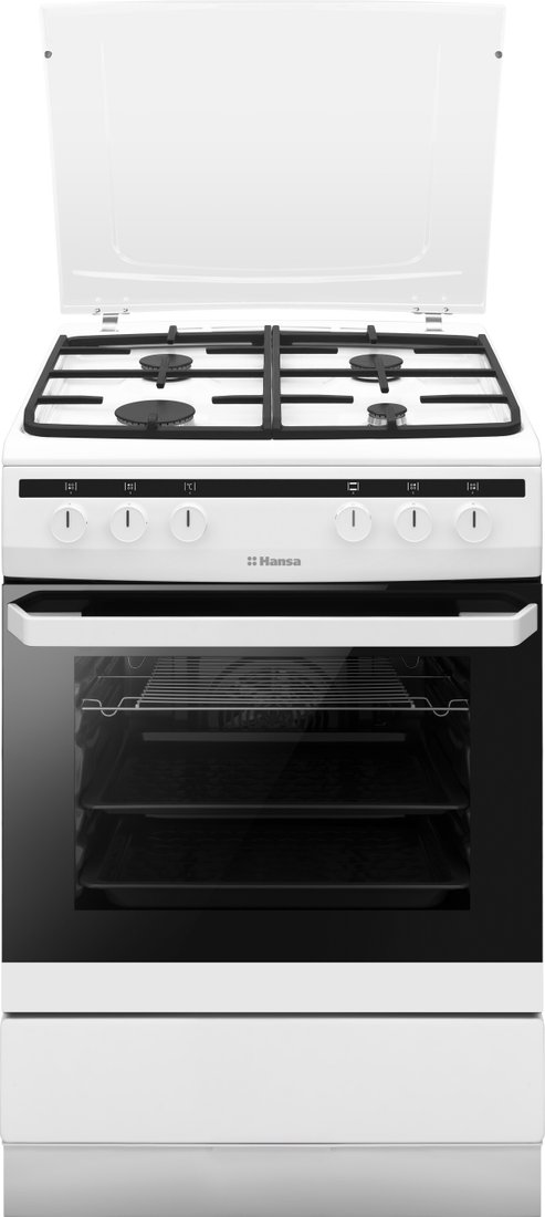 

Кухонная плита Hansa FCMW680451